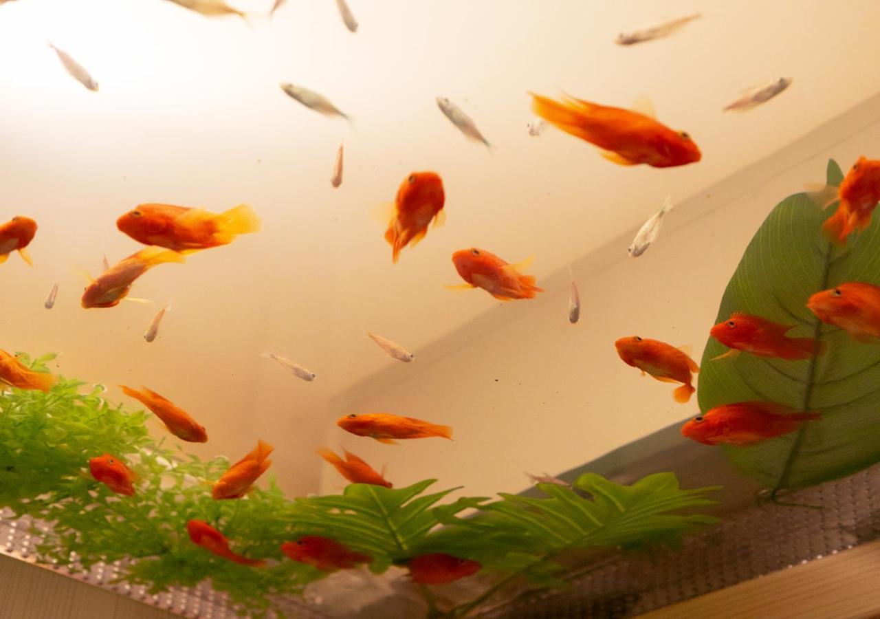 Hotel Eldia Japanese Modern (Adults Only) Gyoda المظهر الخارجي الصورة